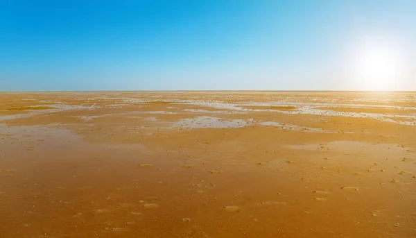 Wadden Denizi — Stok fotoğraf