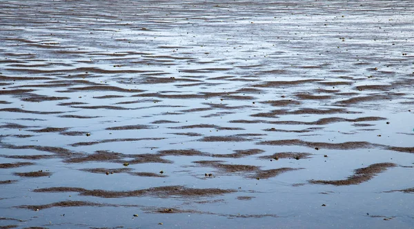 Wadden Denizi — Stok fotoğraf