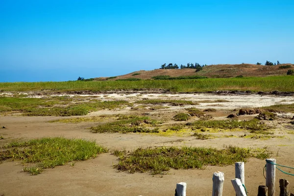 Vadehavet — Stockfoto