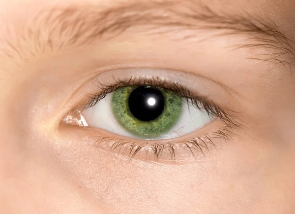 Ojo verde de una joven — Foto de Stock