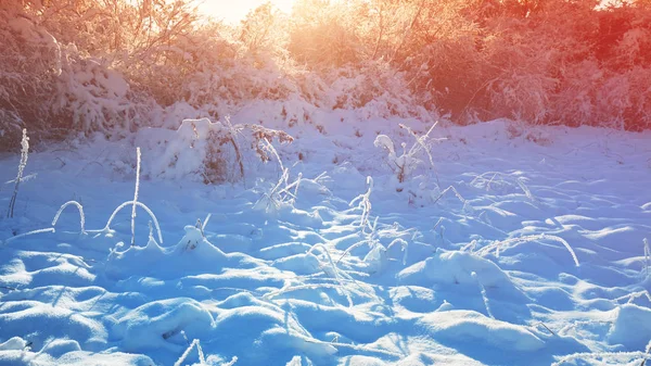 Paesaggio invernale — Foto Stock