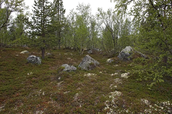 Nagy sziklák a tundra feletti Északi-sark kör, Oroszország — Stock Fotó