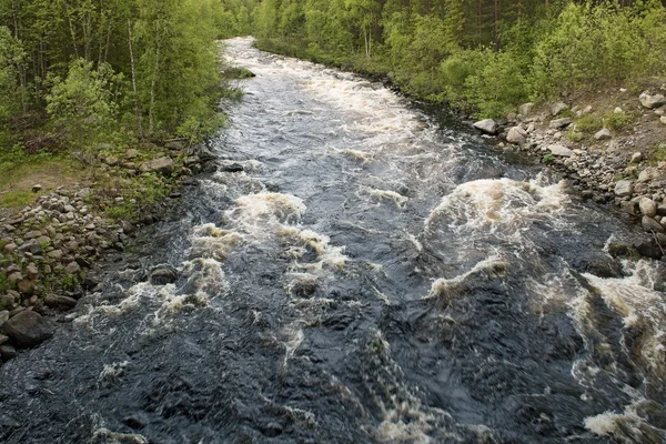 Shovna Nehri Tundra üzerinde Arctic Circle, Rusya Federasyonu — Stok fotoğraf