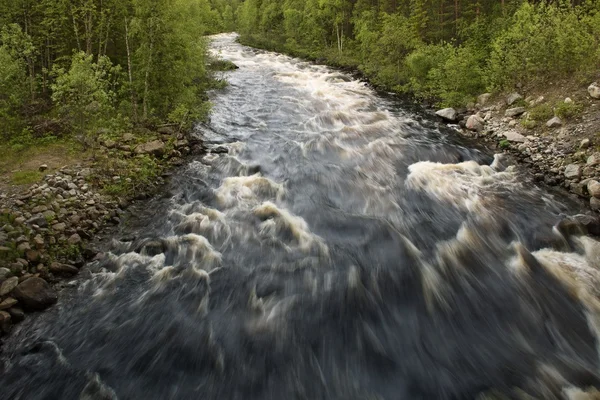 Shovna Nehri Tundra üzerinde Arctic Circle, Rusya Federasyonu — Stok fotoğraf