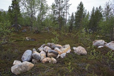 Büyük kayalara Tundra üzerinde Arctic Circle, Rusya Federasyonu