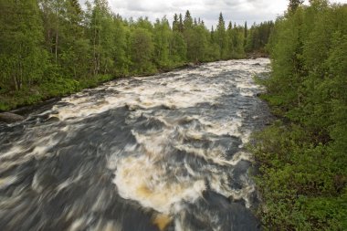 Shovna Nehri Tundra üzerinde Arctic Circle, Rusya Federasyonu