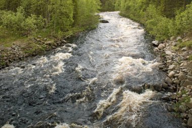 Shovna Nehri Tundra üzerinde Arctic Circle, Rusya Federasyonu