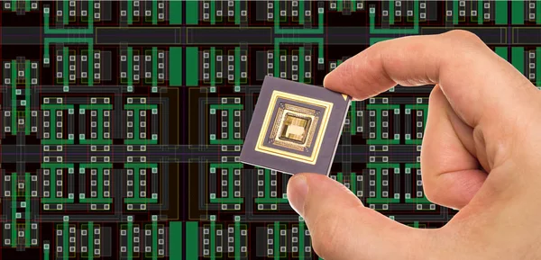 Mikroprocessor i hand — Stockfoto