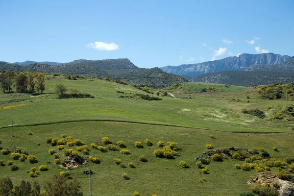 Tipico paesaggio andaluso vicino alla città di Ronda a maggio — Foto Stock