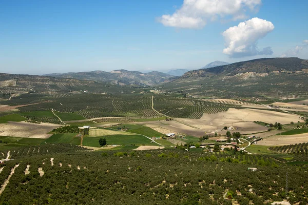 Пейзаж Андалусии в мае, Испания — стоковое фото