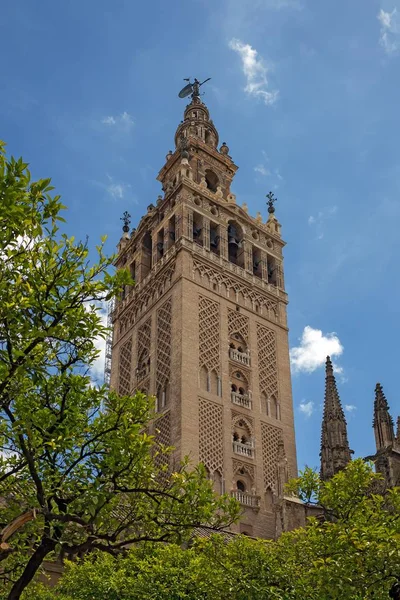 View of Giralda bellfry from the Seville street — Stock Photo, Image