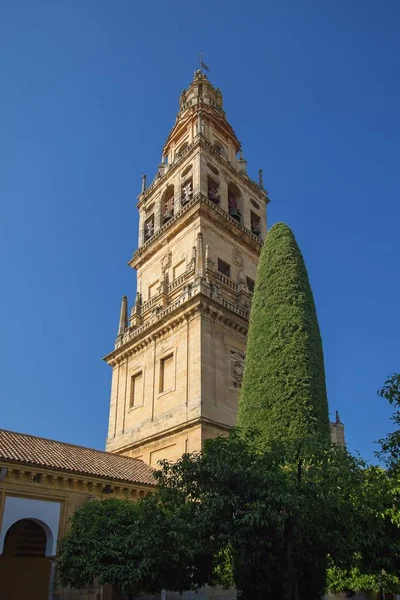 Mezquita - Cordoba harangláb székesegyház — Stock Fotó