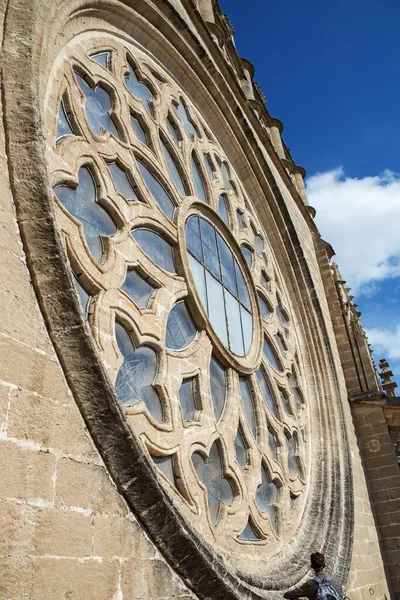 대성당 옥상에서 가까이 서 볼 수있는 세비야 의대 성당 장식품들 — 스톡 사진