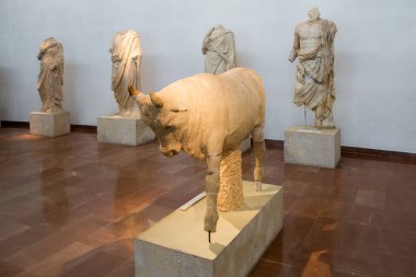 Antik Olympia, Yunanistan - 29 Ağustos 2019. Antik Yunan Antik Olympia Müzesi 'nde sergilenen bir boğa heykeli. Müzenin yakınlarda birçok ünlü bulguları var..