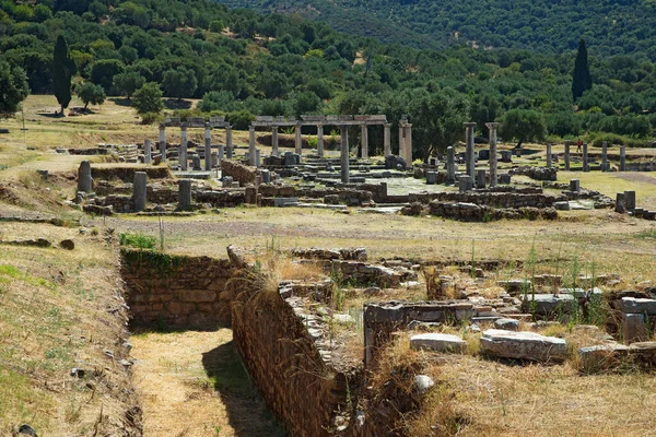 古代メセネ市の遺跡 ペロポネソス ギリシャ — ストック写真