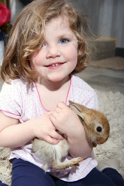 Sevimli sarı saçları ve mavi gözleri küçük bir tavşan tutan kız.