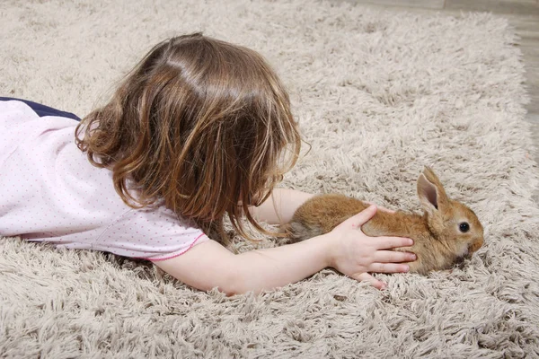 Маленька Дівчинка Грає Килимі Маленьким Кроликом — стокове фото