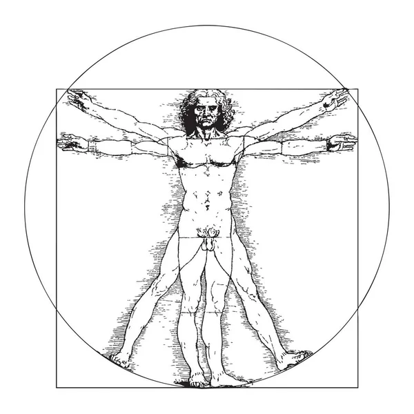 Vitruvian Man by Leonardo Da Vinci — Stock Vector