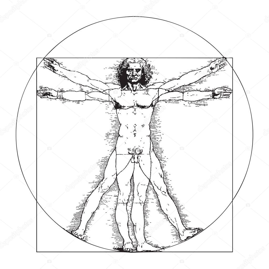 Vitruvian Man by Leonardo Da Vinci