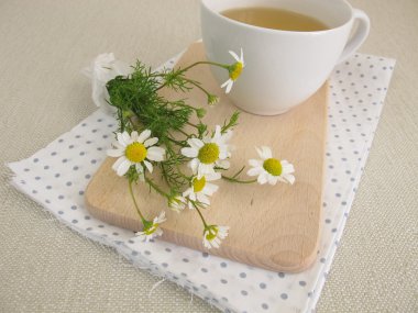 Fincan papatya çayı ve papatya çiçeği