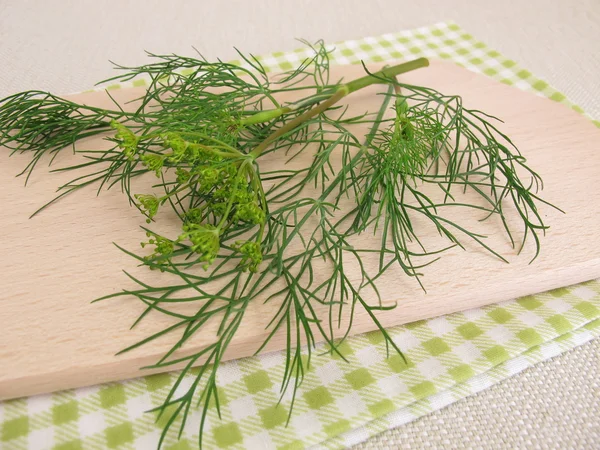 Fresh dill leaves — Stock Photo, Image