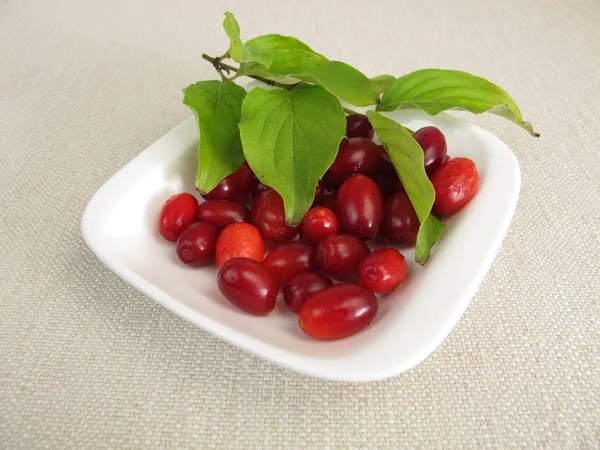 Ripe cornelian cherries — Stock Photo, Image