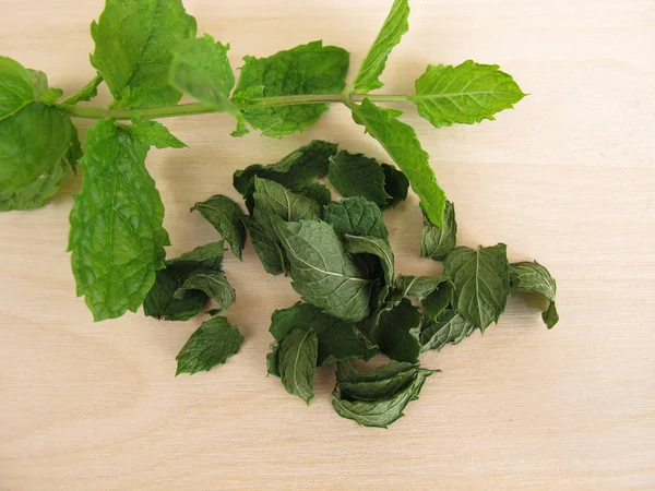 Foglie di menta piperita fresche e secche — Foto Stock