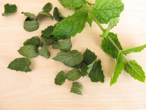 Feuilles de menthe poivrée fraîches et séchées — Photo