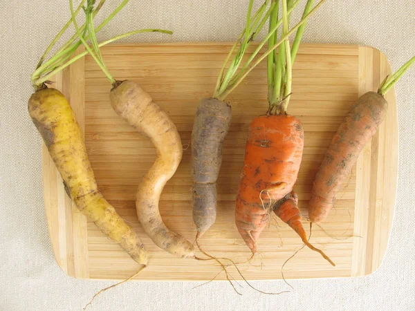 Carottes colorées tordues sur une planche en bois — Photo