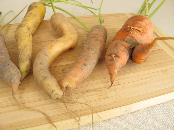 Carottes colorées tordues sur une planche en bois — Photo