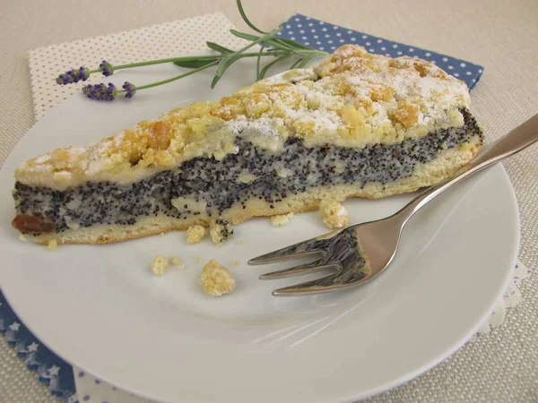 Poppy seed cake with sweet crumbs topping and powdered sugar — Stock Photo, Image