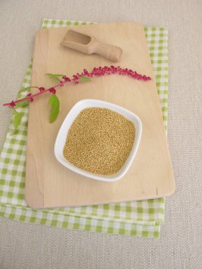 Kabın içinde ham solmayan çiçek tohumları