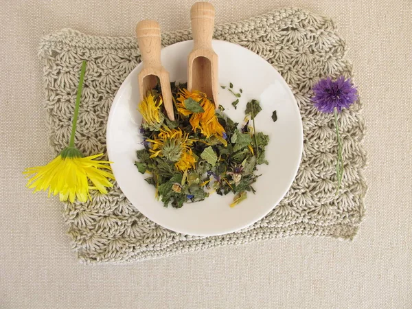 Miscela di tisane con fiori su un piccolo piatto — Foto Stock