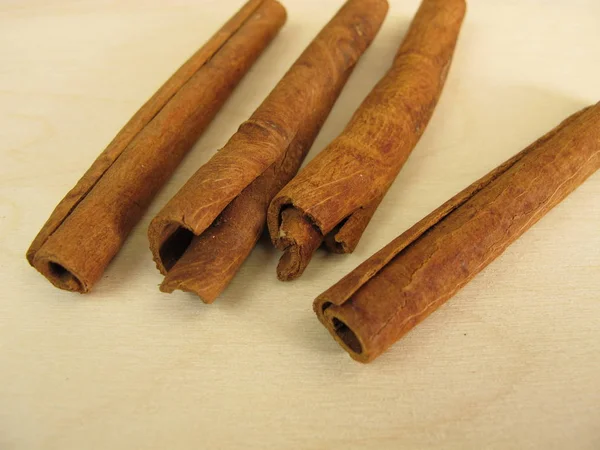 Dried chinese cassia bark sticks — Stock Photo, Image