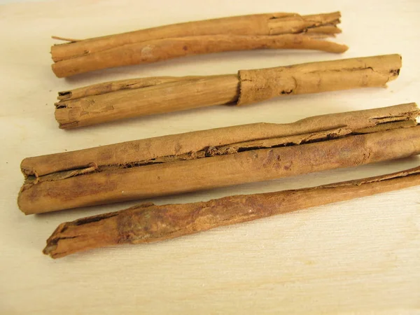 Сушёные палочки с корицей на Цейлоне — стоковое фото