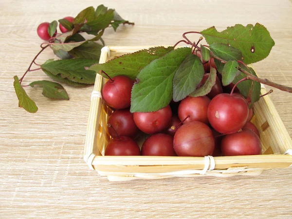 Красная вишневая слива или мирбальская слива в корзине — стоковое фото