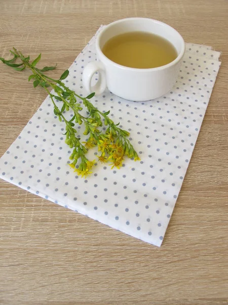 Травяной чай с золотистым стержнем Европы — стоковое фото