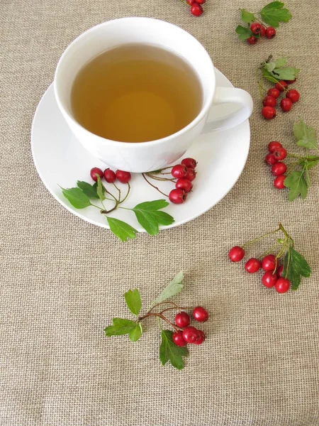 Bitkisel çay alıç otlar ile