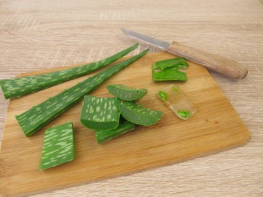 Aloe vera jel ve yaprakları