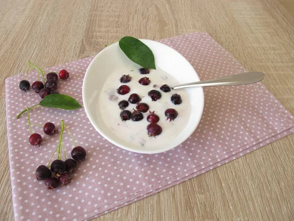 Domácí Jogurt Juneberries — Stock fotografie