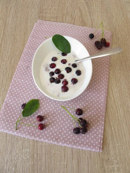 Yogur Casero Con Juneberries — Foto de Stock