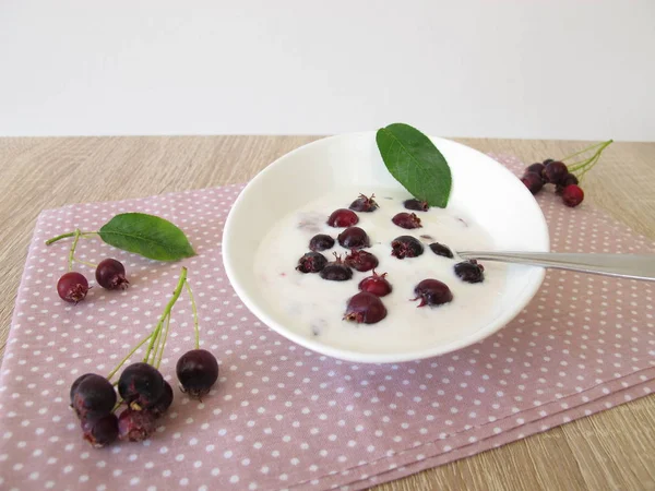 Juneberries と自家製ヨーグルト ストック画像