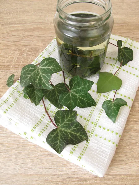 Detergente Para Ropa Detergente Líquido Hiedra Hojas — Foto de stock