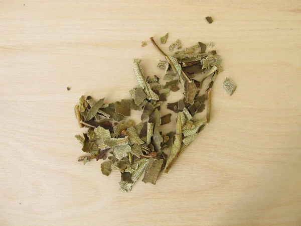 Dried Neem Leaves Alternative Medicine — Stock Photo, Image