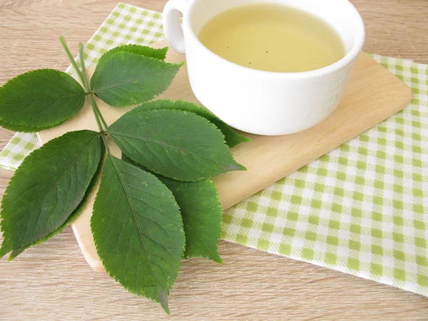 Boiled Tea Elderberry Leaves — Stock Photo, Image