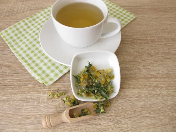 Травяной Чай Сушеным Европейским Золотистым Стержнем — стоковое фото