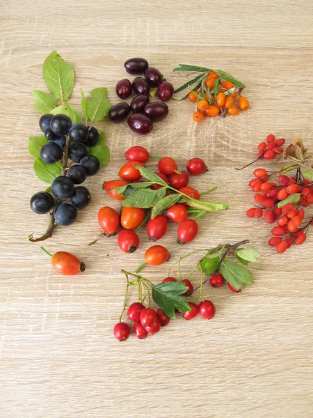 Frutas Silvestres Otoño Con Bayas Cerezas Cornalina Frutos Espino Cerval —  Fotos de Stock