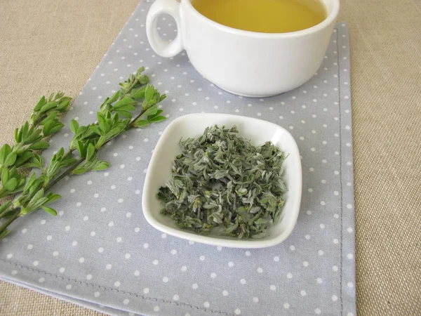 Una Taza Con Escoba Escocesa — Foto de Stock