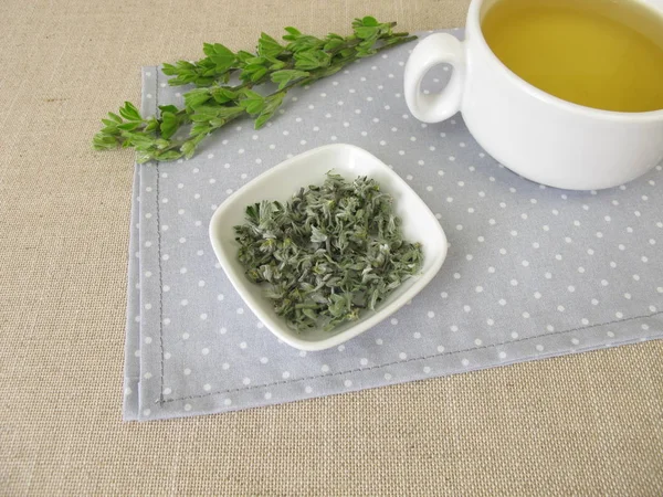 Cup Tea Scotch Broom — 图库照片