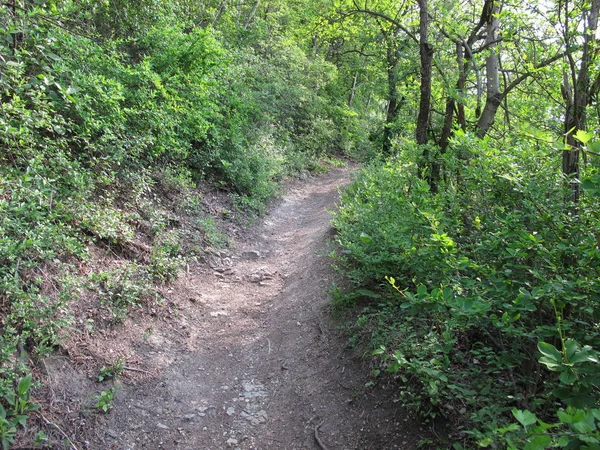 Hiking Trail Jena Lobeda Kernberge Thuringia Germany End May 2019 — Stock Photo, Image